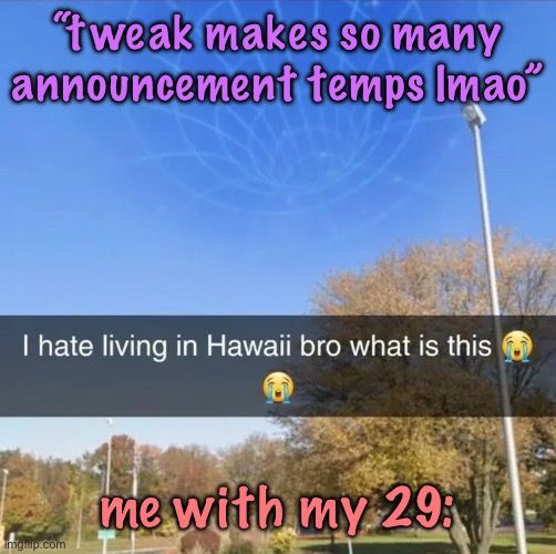 34 technically because i have 4 that have been retired and 1 that isn’t currently in rotation | “tweak makes so many announcement temps lmao”; me with my 29: | image tagged in i hate living in hawaii bro what is this,cinnabox announcement | made w/ Imgflip meme maker