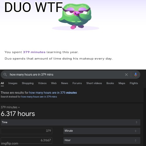 Duo WTF | DUO WTF | image tagged in duolingo | made w/ Imgflip meme maker