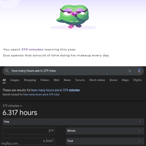 Duo WTF | image tagged in duolingo | made w/ Imgflip meme maker