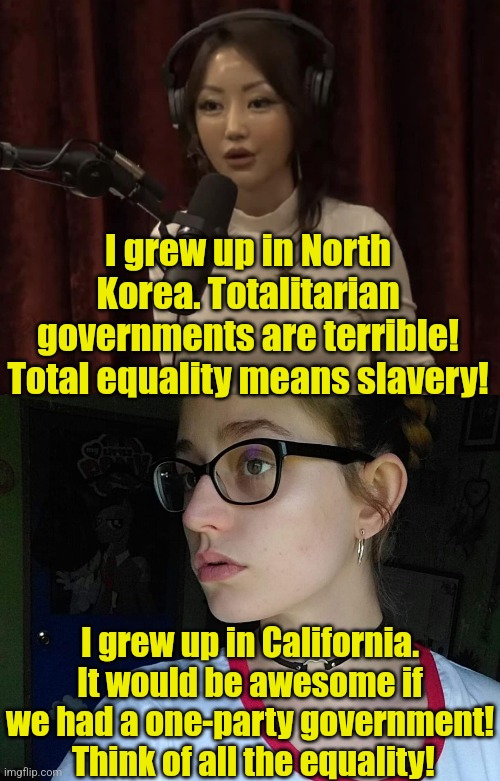 Have you ever noticed people who are curious about oppressive forms of government have NEVER experienced one? | I grew up in North Korea. Totalitarian governments are terrible! Total equality means slavery! I grew up in California. It would be awesome if we had a one-party government!  Think of all the equality! | image tagged in yeonmi,hippy lefty girl,north korea,government corruption,liberal logic,expectation vs reality | made w/ Imgflip meme maker