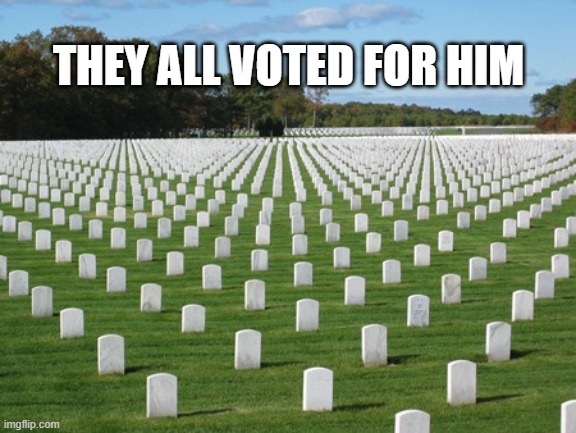 Fallen Soldiers | THEY ALL VOTED FOR HIM | image tagged in fallen soldiers | made w/ Imgflip meme maker