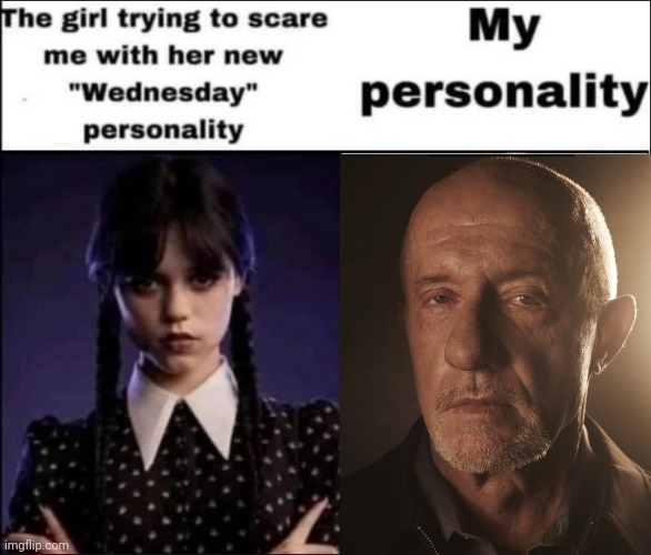 The girl trying to scare me with her new Wednesday personality | image tagged in the girl trying to scare me with her new wednesday personality | made w/ Imgflip meme maker