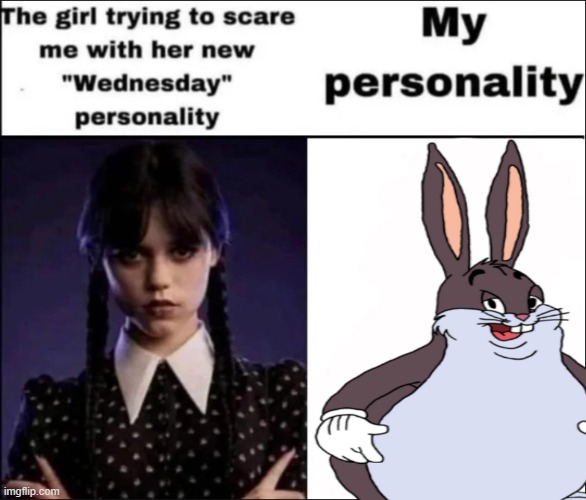 The girl trying to scare me with her new Wednesday personality | image tagged in the girl trying to scare me with her new wednesday personality | made w/ Imgflip meme maker