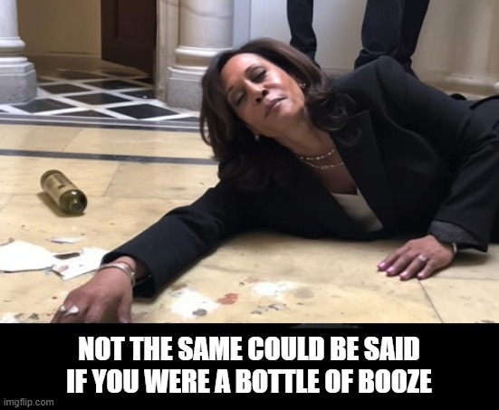 drunk kamala | NOT THE SAME COULD BE SAID IF YOU WERE A BOTTLE OF BOOZE | image tagged in drunk kamala | made w/ Imgflip meme maker