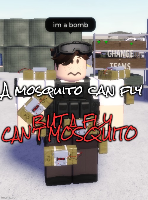 im a bomb | A mosquito can fly; BUT A FLY CAN'T MOSQUITO | image tagged in im a bomb | made w/ Imgflip meme maker