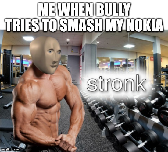 The one good thing | ME WHEN BULLY TRIES TO SMASH MY NOKIA | image tagged in stronks | made w/ Imgflip meme maker