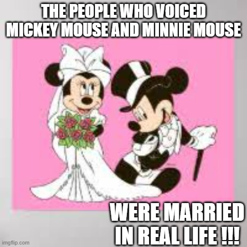 memes by Brad - The people who voiced Mickey & Minnie mouse were married | THE PEOPLE WHO VOICED MICKEY MOUSE AND MINNIE MOUSE; WERE MARRIED IN REAL LIFE !!! | image tagged in fun,mickey mouse,minnie mouse,disney,walt disney,marriage | made w/ Imgflip meme maker