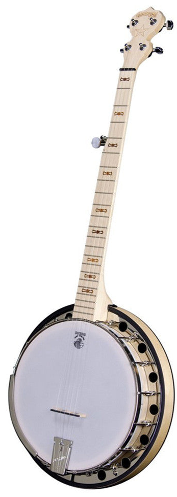 Deering Goodtime Two Banjo Blank Meme Template