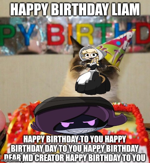 HAPPY BIRTHDAY | HAPPY BIRTHDAY LIAM; HAPPY BIRTHDAY TO YOU HAPPY BIRTHDAY DAY TO YOU HAPPY BIRTHDAY DEAR MD CREATOR HAPPY BIRTHDAY TO YOU | image tagged in memes,grumpy cat birthday,grumpy cat | made w/ Imgflip meme maker