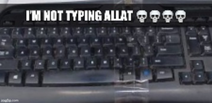 I’m not typing allat | image tagged in i m not typing allat | made w/ Imgflip meme maker