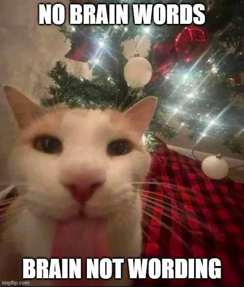 cat-imgflip