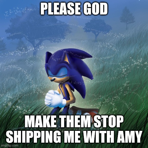 praying sonic | PLEASE GOD; MAKE THEM STOP SHIPPING ME WITH AMY | image tagged in praying sonic,sonic the hedgehog | made w/ Imgflip meme maker