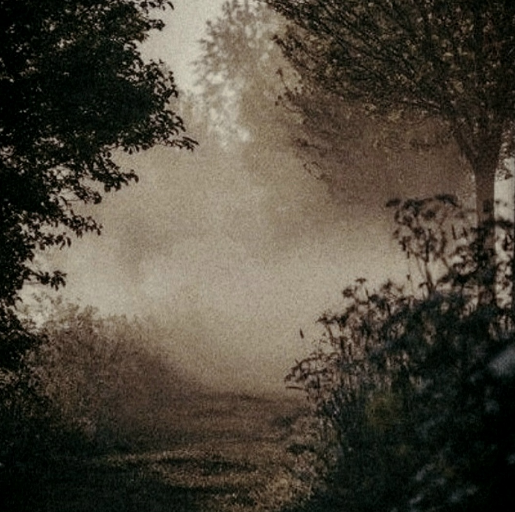 Clearing. Blank Meme Template