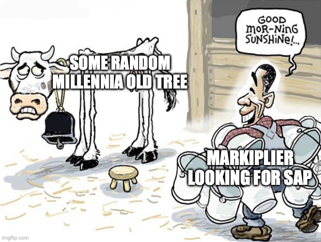 That poor tree... so many times. (From Markiplier's Shadows over Loathing Stream) | SOME RANDOM MILLENNIA OLD TREE; MARKIPLIER LOOKING FOR SAP | image tagged in milking the cow,markiplier,kingdom of loathing,tree,funny memes | made w/ Imgflip meme maker