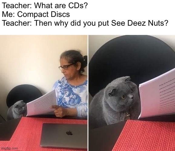 Lololololololololol | Teacher: What are CDs?
Me: Compact Discs
Teacher: Then why did you put See Deez Nuts? | image tagged in woman showing paper to cat,memes,deez nuts | made w/ Imgflip meme maker