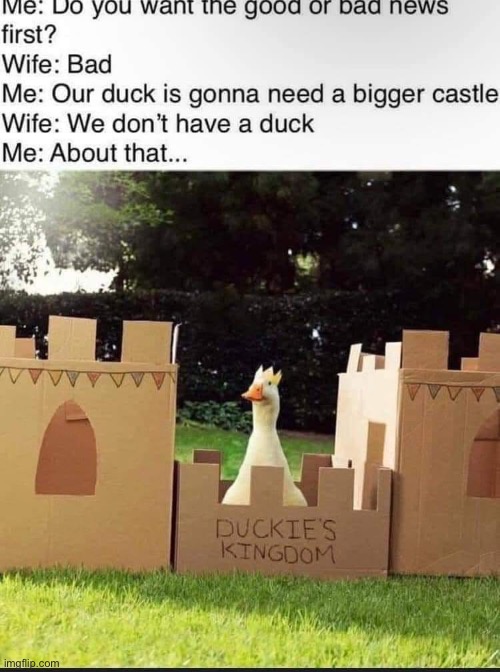 Husband and wife | image tagged in ducks,duck,castle | made w/ Imgflip meme maker