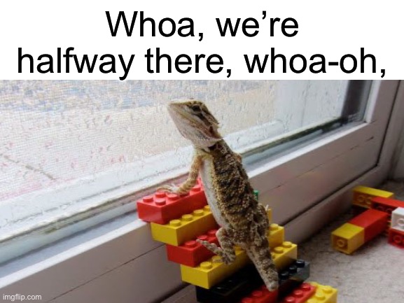 lizard on the stairs | Whoa, we’re halfway there, whoa-oh, | image tagged in blank white template | made w/ Imgflip meme maker