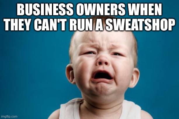 Wahhhh wahhh cry your little rich ass off I do t care about property owner's feelings | BUSINESS OWNERS WHEN THEY CAN'T RUN A SWEATSHOP | image tagged in crybaby | made w/ Imgflip meme maker