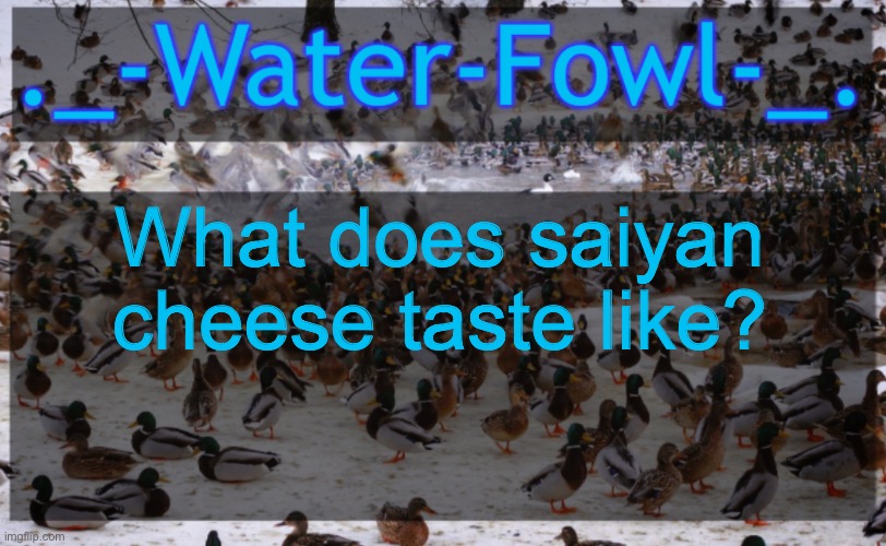 WaterFowl Announcement temp | What does saiyan cheese taste like? | image tagged in waterfowl announcement temp | made w/ Imgflip meme maker