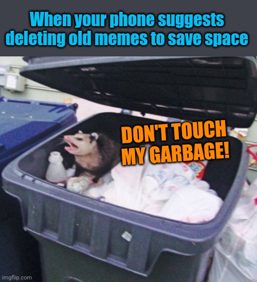 Pack Possum | When your phone suggests deleting old memes to save space; DON'T TOUCH MY GARBAGE! | image tagged in awesome opossum,memes,good,garbage | made w/ Imgflip meme maker