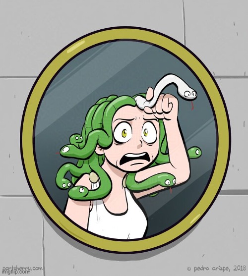 image tagged in medusa,mirror,snakes,hair,white,snake | made w/ Imgflip meme maker