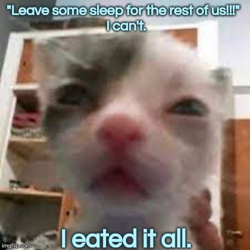 Cat lightskin stare | "Leave some sleep for the rest of us!!!" 
 I can't. I eated it all. | image tagged in cat lightskin stare | made w/ Imgflip meme maker