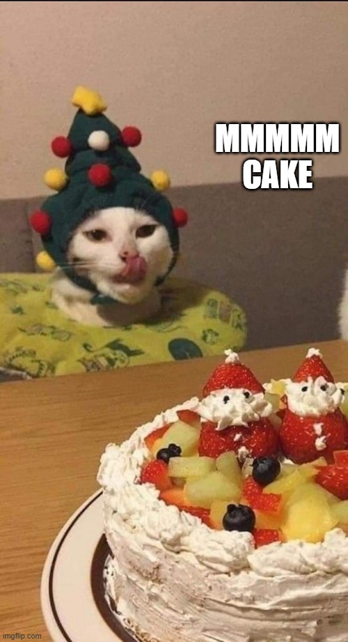 Kitty Cake | MMMMM CAKE | image tagged in cats | made w/ Imgflip meme maker