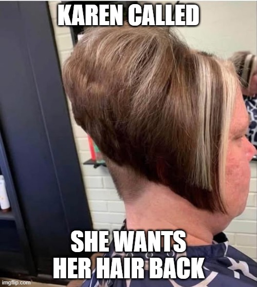 Hair Foul | KAREN CALLED; SHE WANTS HER HAIR BACK | image tagged in funny,memes | made w/ Imgflip meme maker