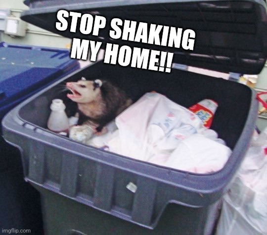 Awesome Opossum | STOP SHAKING MY HOME!! | image tagged in awesome opossum | made w/ Imgflip meme maker