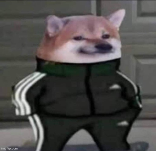 Slav doge | image tagged in slav doge | made w/ Imgflip meme maker