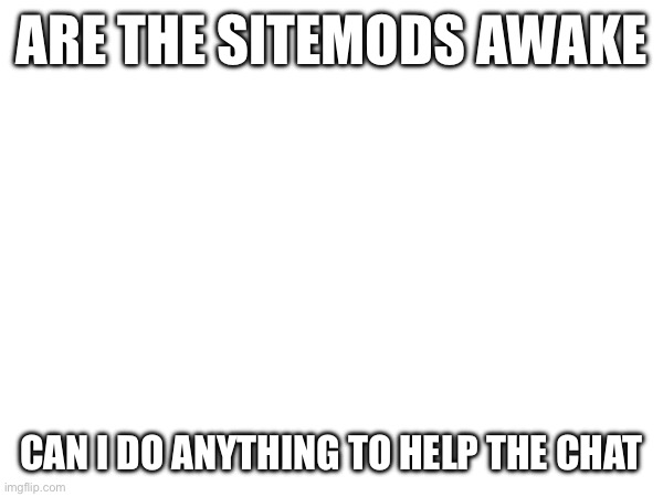 Yall seem upset | ARE THE SITEMODS AWAKE; CAN I DO ANYTHING TO HELP THE CHAT | image tagged in e | made w/ Imgflip meme maker