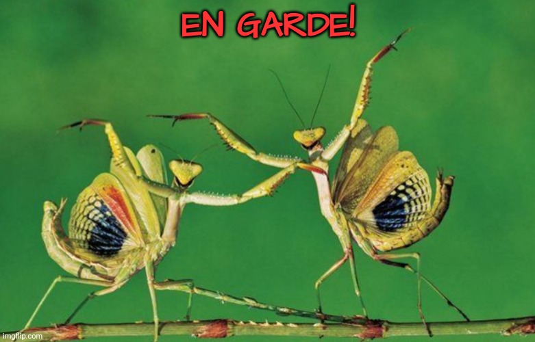 En garde! | EN GARDE! | image tagged in duel,bugs | made w/ Imgflip meme maker