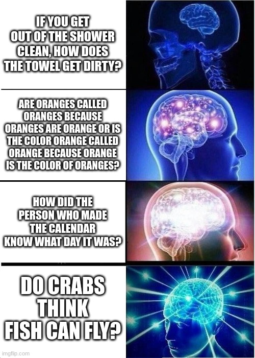 Expanding Brain | IF YOU GET OUT OF THE SHOWER CLEAN, HOW DOES THE TOWEL GET DIRTY? ARE ORANGES CALLED ORANGES BECAUSE ORANGES ARE ORANGE OR IS THE COLOR ORANGE CALLED ORANGE BECAUSE ORANGE IS THE COLOR OF ORANGES? HOW DID THE PERSON WHO MADE THE CALENDAR KNOW WHAT DAY IT WAS? DO CRABS THINK FISH CAN FLY? | image tagged in memes,expanding brain | made w/ Imgflip meme maker