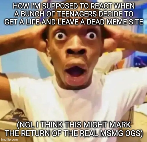 Shocked black guy | HOW I'M SUPPOSED TO REACT WHEN A BUNCH OF TEENAGERS DECIDE TO GET A LIFE AND LEAVE A DEAD MEME SITE; (NGL I THINK THIS MIGHT MARK THE RETURN OF THE REAL MSMG OGS) | image tagged in shocked black guy | made w/ Imgflip meme maker