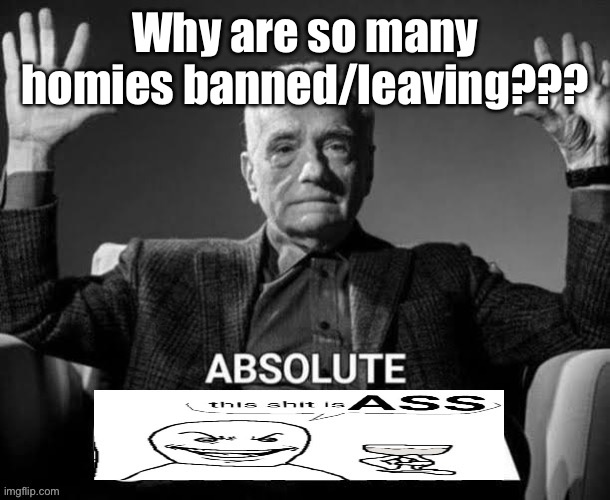 Absolute cheeks | Why are so many homies banned/leaving??? | image tagged in absolute cheeks | made w/ Imgflip meme maker