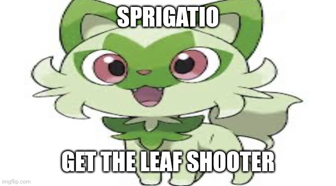 Wide Sprigatito | SPRIGATIO GET THE LEAF SHOOTER | image tagged in wide sprigatito | made w/ Imgflip meme maker