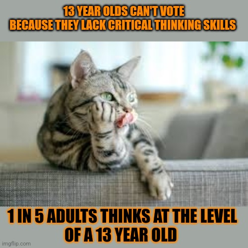 This #lolcat wonders if everyone should be allowed to vote | 13 YEAR OLDS CAN'T VOTE
BECAUSE THEY LACK CRITICAL THINKING SKILLS; 1 IN 5 ADULTS THINKS AT THE LEVEL
OF A 13 YEAR OLD | image tagged in vote,voting,thinking,lolcat,stupid people | made w/ Imgflip meme maker