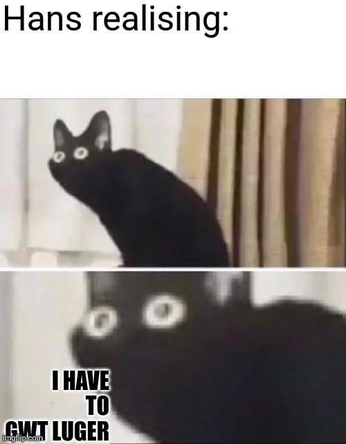 Oh No Black Cat | Hans realising:; I HAVE TO GWT LUGER | image tagged in oh no black cat | made w/ Imgflip meme maker