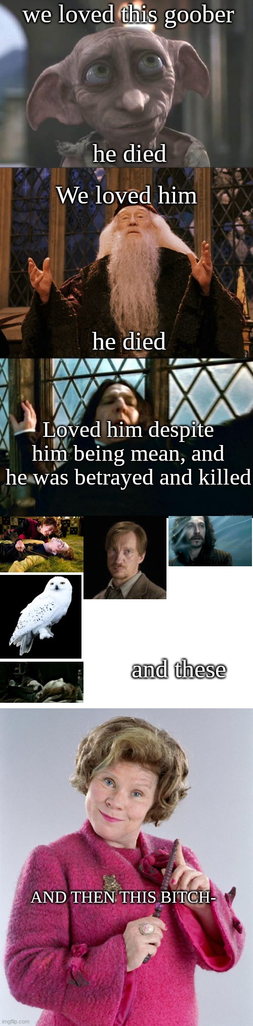 All of the Harry Potter community could agree | we loved this goober; he died; We loved him; he died; Loved him despite him being mean, and he was betrayed and killed; and these; AND THEN THIS BITCH- | image tagged in dobby,dumbledore,memes,snape,dolores umbridge | made w/ Imgflip meme maker