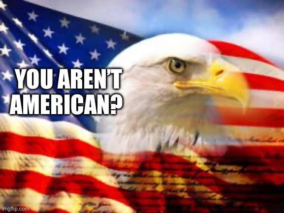 American Flag | YOU AREN’T AMERICAN? | image tagged in american flag | made w/ Imgflip meme maker