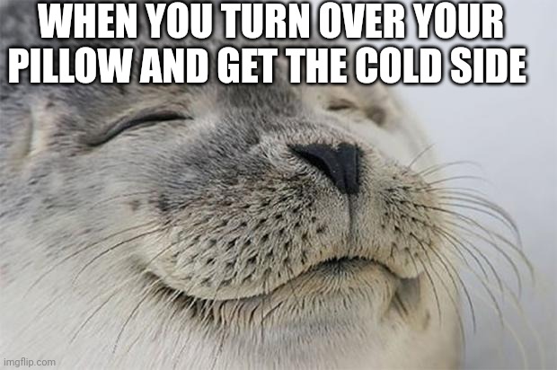 ... | WHEN YOU TURN OVER YOUR PILLOW AND GET THE COLD SIDE | image tagged in memes,satisfied seal | made w/ Imgflip meme maker