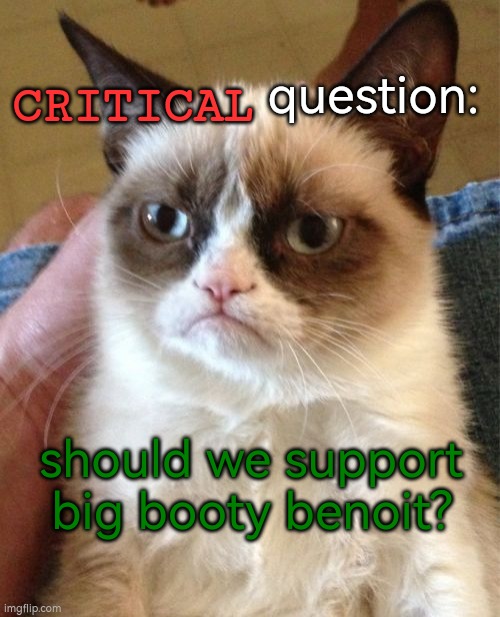 note: he likes dave and bambi | question:; CRITICAL; should we support big booty benoit? | image tagged in grumpy cat,dave and bambi,big booty benoit,huell money,lorax money | made w/ Imgflip meme maker