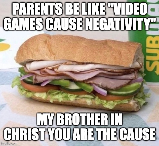 feels true | PARENTS BE LIKE "VIDEO GAMES CAUSE NEGATIVITY"; MY BROTHER IN CHRIST YOU ARE THE CAUSE | image tagged in subway sandwich,gaming,parents | made w/ Imgflip meme maker