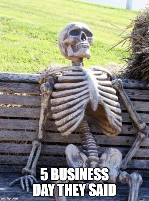 Waiting Skeleton | 5 BUSINESS DAY THEY SAID | image tagged in memes,waiting skeleton | made w/ Imgflip meme maker