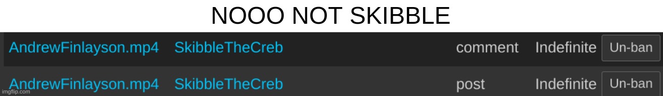 NOOO NOT SKIBBLE | made w/ Imgflip meme maker