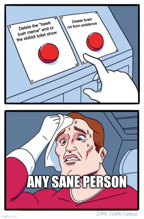 Two Buttons Meme | Delete brain rot from existence; Delete the “hawk tuah meme” and or the skibidi toilet show; ANY SANE PERSON | image tagged in memes,two buttons | made w/ Imgflip meme maker