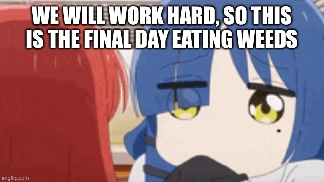 It’s over | WE WILL WORK HARD, SO THIS IS THE FINAL DAY EATING WEEDS | image tagged in ryo paypal | made w/ Imgflip meme maker