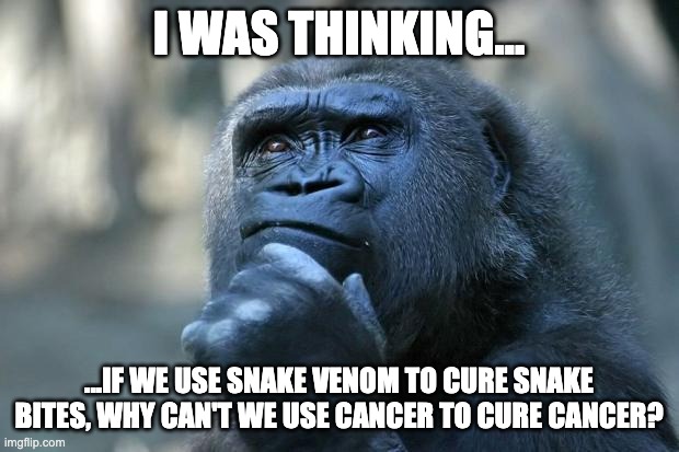 Thoughts raw from my mind | I WAS THINKING... ...IF WE USE SNAKE VENOM TO CURE SNAKE BITES, WHY CAN'T WE USE CANCER TO CURE CANCER? | image tagged in deep thoughts,monkey,relatable,memes,funny,fun | made w/ Imgflip meme maker