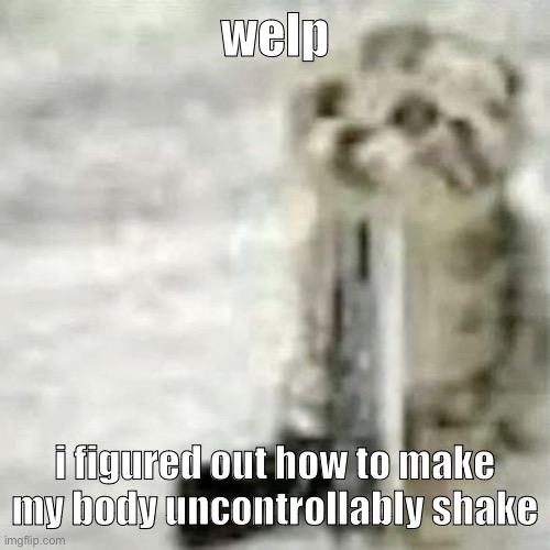 car sewer slide | welp; i figured out how to make my body uncontrollably shake | image tagged in car sewer slide | made w/ Imgflip meme maker