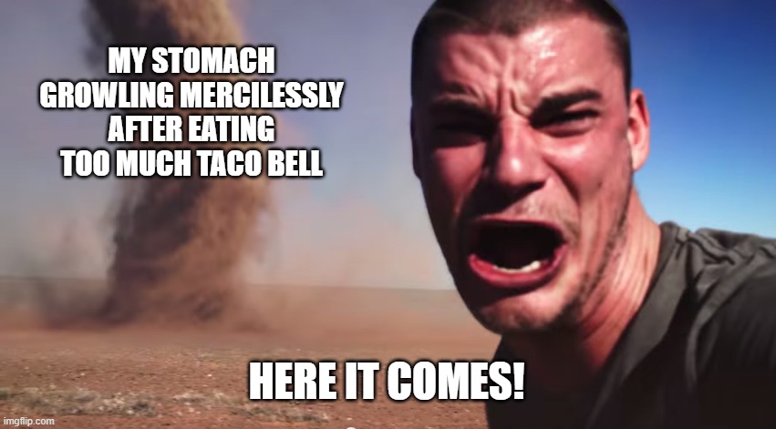 Toilet: You and me are gonna have a rough night, pal. | MY STOMACH GROWLING MERCILESSLY AFTER EATING TOO MUCH TACO BELL; HERE IT COMES! | image tagged in here it comes | made w/ Imgflip meme maker